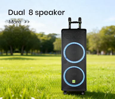Dual 8 speaker