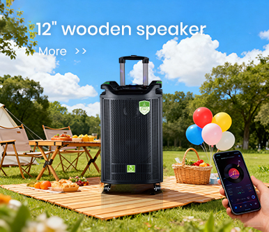 12 inch wooden speaker